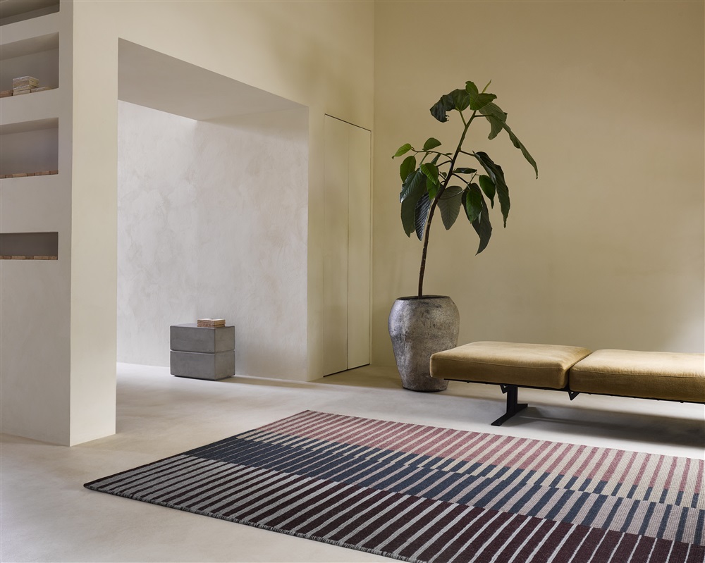 Artisan Focus dusk 096108 Artisan Focus dusk 096108
