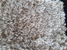Core by Dersimo Gentle 13 Ivory, Zand