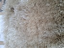 Core by Dersimo Luxury 12 Creme, naturel