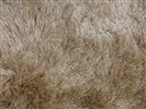 Eurogros Luna 2000 Creme