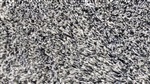De Munk Carpets Endless Zwart /wit  (32 mm) Amfore  