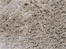 Onze Huis Collectie Bliss (Home Collectie ) Off White Creme, Wit
