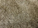 Eurogros Luna 3000 Ivory, Zand