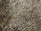 Eurogros Luna 5000 Bruin, Creme, Zand