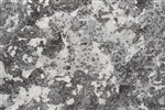 Eurogros Ace 6233 Antraciet, Bruin, Grijs, Ivory