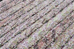 Onze Huis Collectie Gable 10.6391 [Laatste] Antraciet, Bruin, Grijs, Taupe