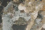 Eurogros Aster 1219 Multicolor, Oker, Taupe, Turquoise