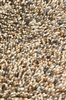 Brink & Campman Rocks naturel 70501 Beige, Bruin, Creme