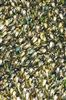 Brink & Campman Spring Evergreen 59107 Grijs, Groen, Ivory
