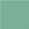 Core by Dersimo Cisco 32 Zee Groen
