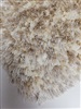 Weppner Dallas W 21 Ivory Creme, Ivory