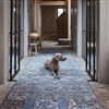 Desso Desso & Ex 1811-641 (gebandeerd met Baisband) Blauw