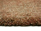 Eurogros Myla 8787 terra Bruin, Creme