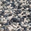 De Munk Carpets Rinaldo 06 Blauw, Groen, Ivory