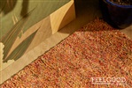 Brinker Carpets Salsa 063 Coral Red Multicolor, Rood, Roze