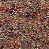 Brinker Carpets Salsa 063 Coral Red Multicolor, Rood, Roze
