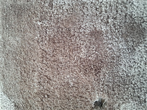 Core by Dersimo Royale 15 Bruin, Taupe
