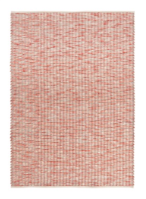 Grain coral 013502 Grain coral 013502