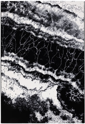 Eurogros Stone 2.211 [Laatste] Wit, Zwart