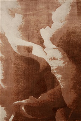 Eurogros Josh 200 Cognac, Creme, Terra